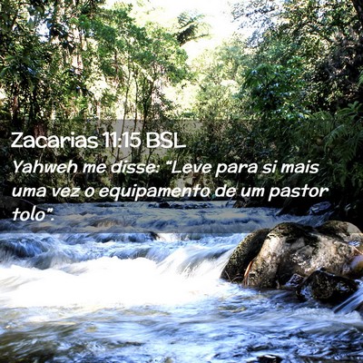Picture 02 - Zacarias 11:15 BSL - Yahweh me disse: “Leve para si mais uma vez o - Bible Verse Picture