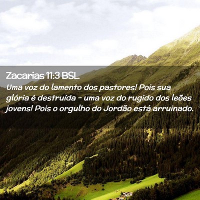 Picture 02 - Zacarias 11:3 BSL - Uma voz do lamento dos pastores! Pois sua glória - Bible Verse Picture