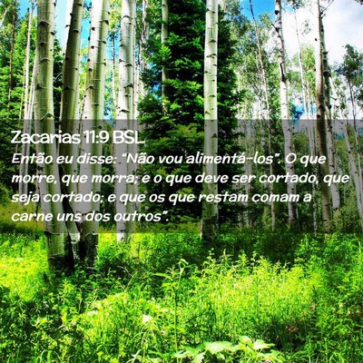 Picture 02 - Zacarias 11:9 BSL - Então eu disse: “Não vou alimentá-los”. O - Bible Verse Picture