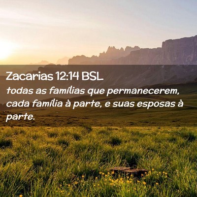 Picture 02 - Zacarias 12:14 BSL - todas as famílias que permanecerem, cada - Bible Verse Picture