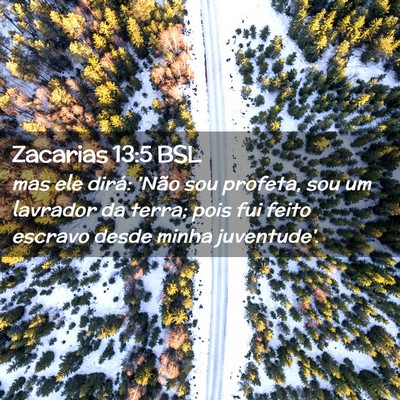 Picture 02 - Zacarias 13:5 BSL - mas ele dirá: 'Não sou profeta, sou um lavrador - Bible Verse Picture