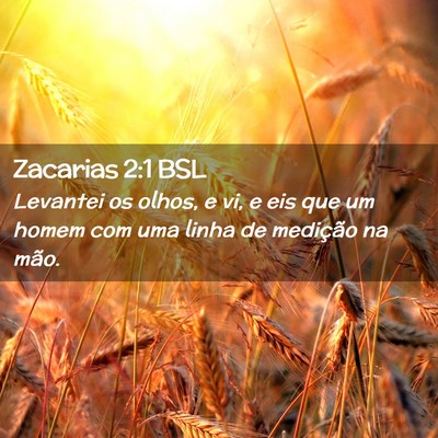 Picture 02 - Zacarias 2:1 BSL - Levantei os olhos, e vi, e eis que um homem com - Bible Verse Picture