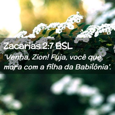 Picture 02 - Zacarias 2:7 BSL - 'Venha, Zion! Fuja, você que mora com a filha da - Bible Verse Picture