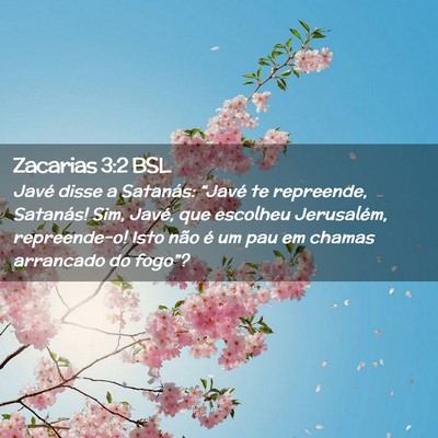 Picture 02 - Zacarias 3:2 BSL - Javé disse a Satanás: “Javé te repreende, - Bible Verse Picture