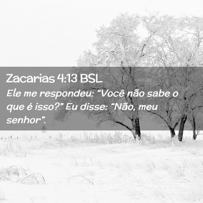 Picture 02 - Zacarias 4:13 BSL - Ele me respondeu: “Você não sabe o que é - Bible Verse Picture