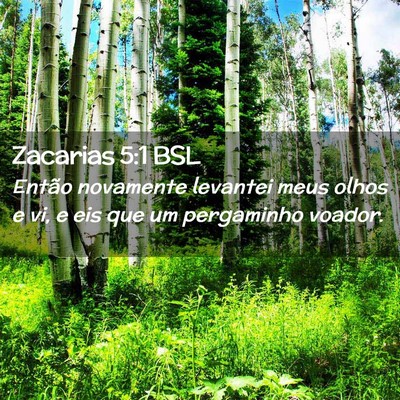 Picture 02 - Zacarias 5:1 BSL - Então novamente levantei meus olhos e vi, e eis - Bible Verse Picture