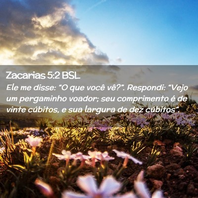 Picture 02 - Zacarias 5:2 BSL - Ele me disse: “O que você vê?”. Respondi: - Bible Verse Picture