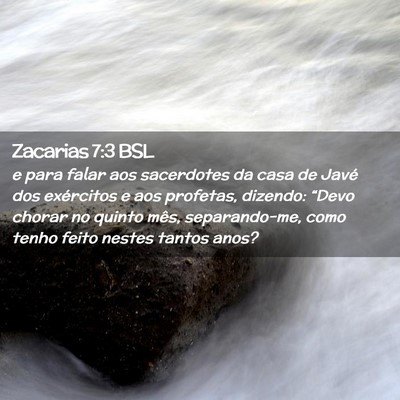 Picture 02 - Zacarias 7:3 BSL - e para falar aos sacerdotes da casa de Javé dos - Bible Verse Picture