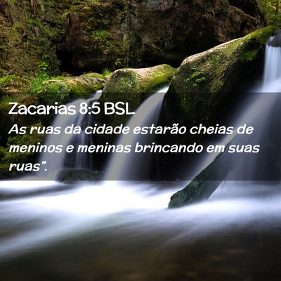 Picture 02 - Zacarias 8:5 BSL - As ruas da cidade estarão cheias de meninos e - Bible Verse Picture