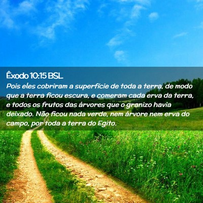 Picture 02 - Êxodo 10:15 BSL - Pois eles cobriram a superfície de toda a terra, - Bible Verse Picture
