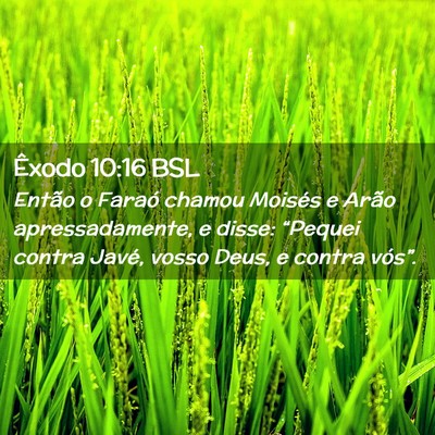 Picture 02 - Êxodo 10:16 BSL - Então o Faraó chamou Moisés e Arão - Bible Verse Picture