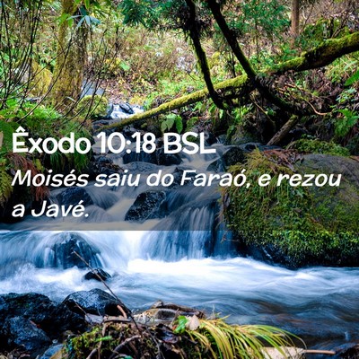 Picture 02 - Êxodo 10:18 BSL - Moisés saiu do Faraó, e rezou a - Bible Verse Picture