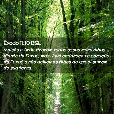 Picture 02 - Êxodo 11:10 BSL - Moisés e Arão fizeram todas essas maravilhas - Bible Verse Picture