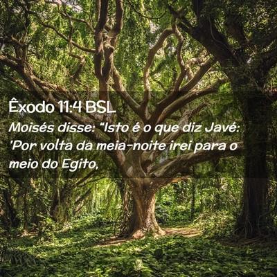Picture 02 - Êxodo 11:4 BSL - Moisés disse: “Isto é o que diz Javé: 'Por - Bible Verse Picture
