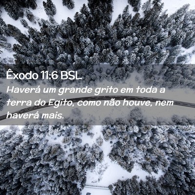 Picture 02 - Êxodo 11:6 BSL - Haverá um grande grito em toda a terra do Egito, - Bible Verse Picture
