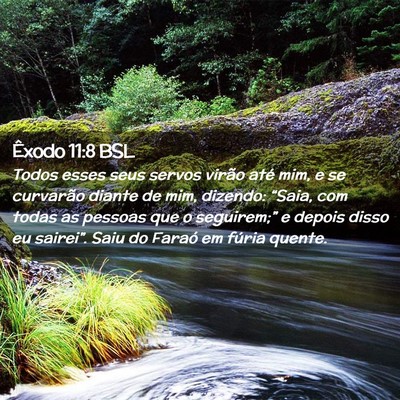Picture 02 - Êxodo 11:8 BSL - Todos esses seus servos virão até mim, e se - Bible Verse Picture