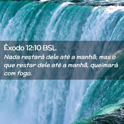 Picture 02 - Êxodo 12:10 BSL - Nada restará dele até a manhã; mas o que - Bible Verse Picture