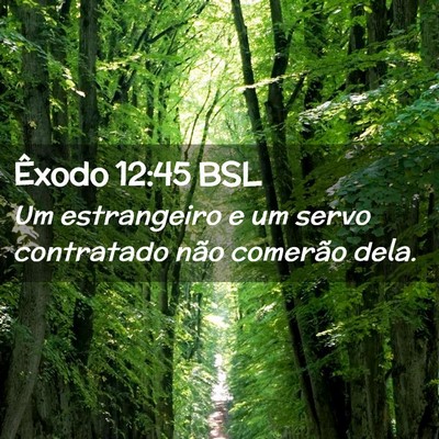 Picture 02 - Êxodo 12:45 BSL - Um estrangeiro e um servo contratado não - Bible Verse Picture