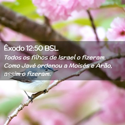 Picture 02 - Êxodo 12:50 BSL - Todos os filhos de Israel o fizeram. Como Javé - Bible Verse Picture