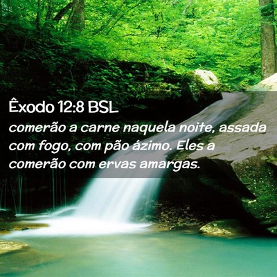 Picture 02 - Êxodo 12:8 BSL - comerão a carne naquela noite, assada com fogo, - Bible Verse Picture