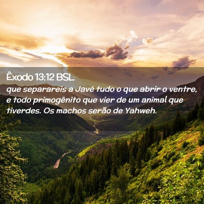 Picture 02 - Êxodo 13:12 BSL - que separareis a Javé tudo o que abrir o ventre, - Bible Verse Picture
