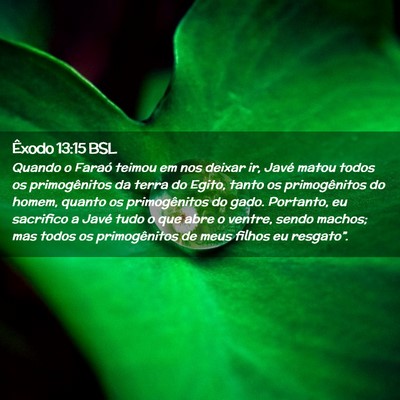 Picture 02 - Êxodo 13:15 BSL - Quando o Faraó teimou em nos deixar ir, Javé - Bible Verse Picture