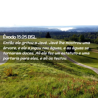 Picture 02 - Êxodo 15:25 BSL - Então ele gritou a Javé. Javé lhe mostrou uma - Bible Verse Picture