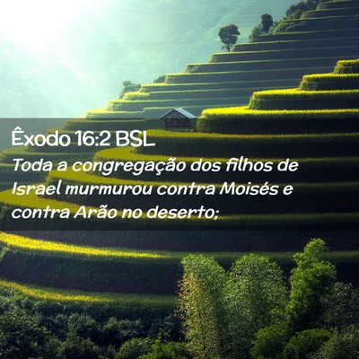 Picture 02 - Êxodo 16:2 BSL - Toda a congregação dos filhos de Israel - Bible Verse Picture