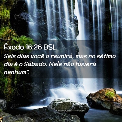 Picture 02 - Êxodo 16:26 BSL - Seis dias você o reunirá, mas no sétimo dia é - Bible Verse Picture