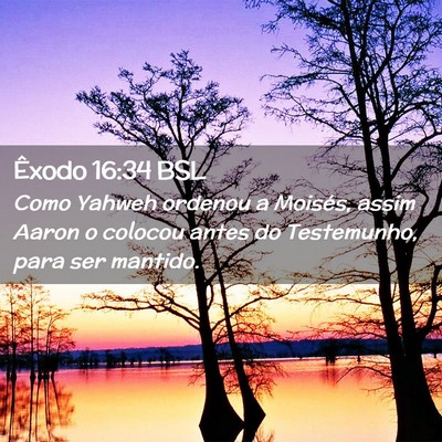 Picture 02 - Êxodo 16:34 BSL - Como Yahweh ordenou a Moisés, assim Aaron o - Bible Verse Picture