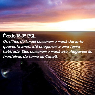 Picture 02 - Êxodo 16:35 BSL - Os filhos de Israel comeram o maná durante - Bible Verse Picture
