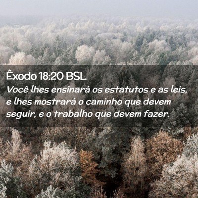 Picture 02 - Êxodo 18:20 BSL - Você lhes ensinará os estatutos e as leis, e - Bible Verse Picture