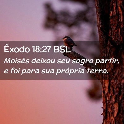 Picture 02 - Êxodo 18:27 BSL - Moisés deixou seu sogro partir, e foi para sua - Bible Verse Picture
