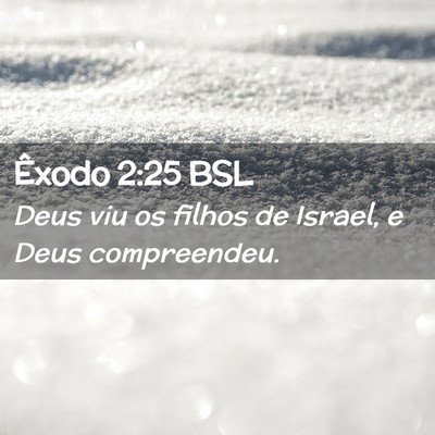 Picture 02 - Êxodo 2:25 BSL - Deus viu os filhos de Israel, e Deus - Bible Verse Picture