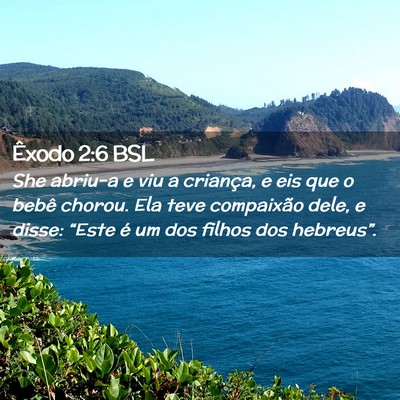 Picture 02 - Êxodo 2:6 BSL - She abriu-a e viu a criança, e eis que o bebê - Bible Verse Picture