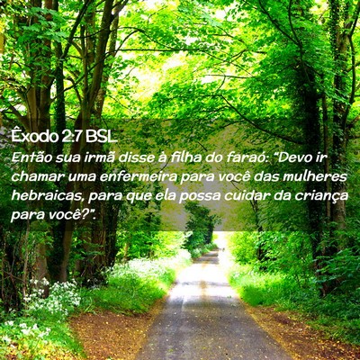 Picture 02 - Êxodo 2:7 BSL - Então sua irmã disse à filha do faraó: - Bible Verse Picture