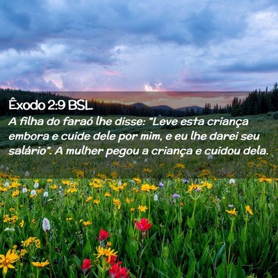 Picture 02 - Êxodo 2:9 BSL - A filha do faraó lhe disse: “Leve esta - Bible Verse Picture