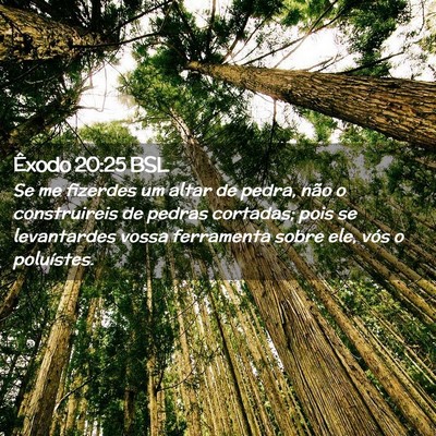 Picture 02 - Êxodo 20:25 BSL - Se me fizerdes um altar de pedra, não o - Bible Verse Picture