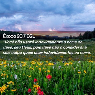 Picture 02 - Êxodo 20:7 BSL - “Você não usará indevidamente o nome de - Bible Verse Picture
