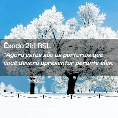 Picture 02 - Êxodo 21:1 BSL - “Agora estas são as portarias que você - Bible Verse Picture
