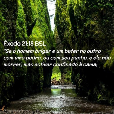Picture 02 - Êxodo 21:18 BSL - “Se o homem brigar e um bater no outro com uma - Bible Verse Picture