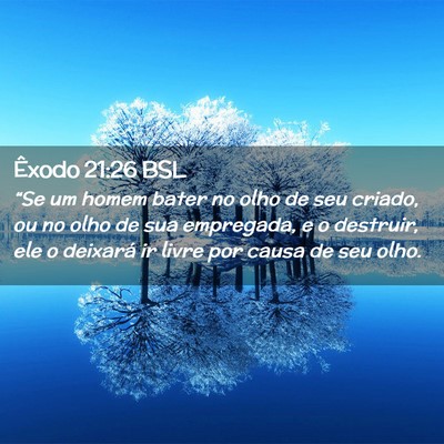 Picture 02 - Êxodo 21:26 BSL - “Se um homem bater no olho de seu criado, ou no - Bible Verse Picture