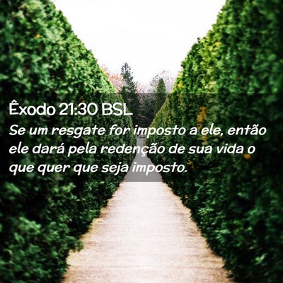 Picture 02 - Êxodo 21:30 BSL - Se um resgate for imposto a ele, então ele dará - Bible Verse Picture