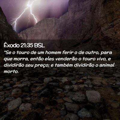 Picture 02 - Êxodo 21:35 BSL - “Se o touro de um homem ferir o de outro, para - Bible Verse Picture