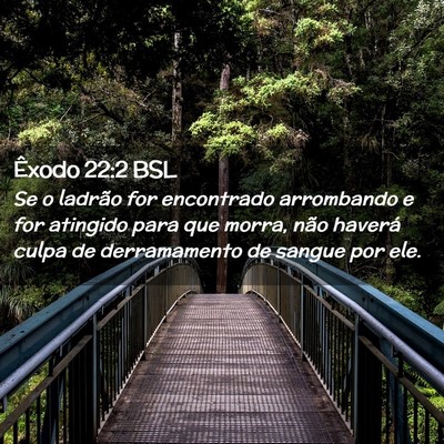 Picture 02 - Êxodo 22:2 BSL - Se o ladrão for encontrado arrombando e for - Bible Verse Picture