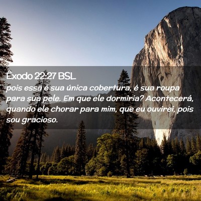Picture 02 - Êxodo 22:27 BSL - pois essa é sua única cobertura, é sua roupa - Bible Verse Picture
