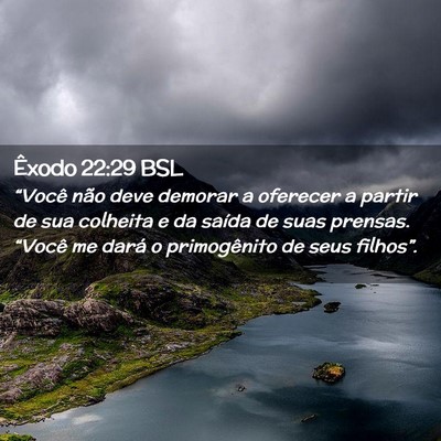 Picture 02 - Êxodo 22:29 BSL - “Você não deve demorar a oferecer a partir de - Bible Verse Picture