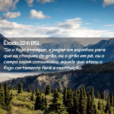Picture 02 - Êxodo 22:6 BSL - “Se o fogo irromper, e pegar em espinhos para - Bible Verse Picture