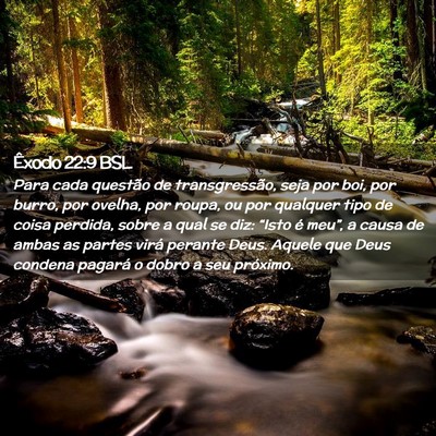 Picture 02 - Êxodo 22:9 BSL - Para cada questão de transgressão, seja por - Bible Verse Picture