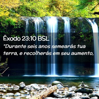 Picture 02 - Êxodo 23:10 BSL - “Durante seis anos semearás tua terra, e - Bible Verse Picture